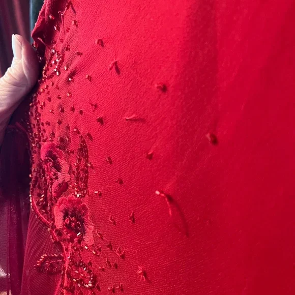 Wrapped in Red Embroidered Gown - Picture 8 of 10